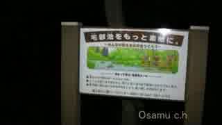 心霊探求 たっちゃん池 (宅部池) 東京都東村山市