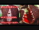 ホモと見る地球上で最も危険な植物