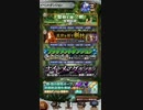 何の役にも立たないFFRK動画（聖樹を護りし剣【凶】祀られし神獣）