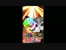 【白猫】フォースター21st入れ替えガチャ【44連】