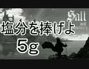 【ゆっくり】塩分を捧げよ 5g【Salt and Sanctuary】