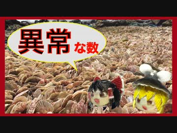 貝殻拾いの旅 in ベトナム！！②＜後編＞　