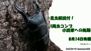昆虫解説付!1周虫コンプ小説家への軌跡…【ぼくなつPSP】8月14日後編
