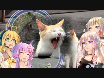 VOICEROIDと小動物がしゃべるだけ007