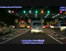 【南アフリカ横断】019 車載動画 03 Arnot ～ Waterval Boven