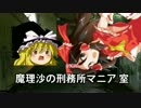 ニコニコ新仕様テスト　30分以上