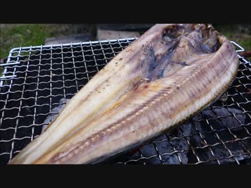 ウサチョフ、北海道へ行くっ！第5回 『B級グルメと 最東端っ！　霧多布』