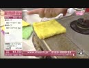パルテックスの類似品を販売するショップチャンネル