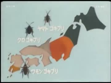ホモと学ぶゴキブリの生態.mp4