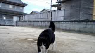 クロちゃん無事で
