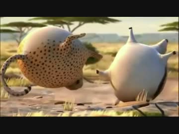 動物たちが丸くなった世界が可愛すぎる ニコニコ動画