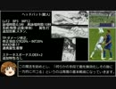 FF11 ランク⑥到達TaimuAtakkuPpoi 青/赤65 18時間52分30秒 paato7-2