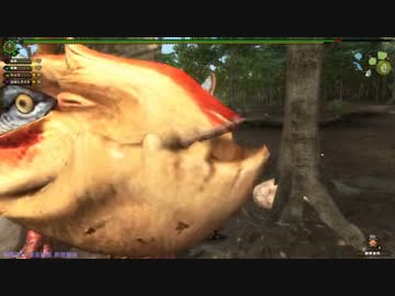 【MHF-G】会長、穿龍棍への道6-2,3