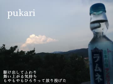 【NNI】 pukari