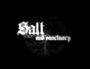 『Salt and Sanctuary』PV