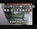【KSM】知れば知るほど嫌になる動画 韓国・釜山市峨嵋洞地区 日本人墓地