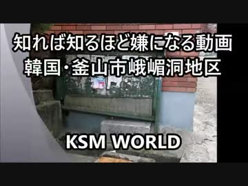【KSM】知れば知るほど嫌になる動画 韓国・釜山市峨嵋洞地区 日本人墓地