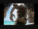 【実況】がっかり傭兵の戦場記１５５戦目【MSM-03 GOGG ２機】