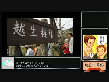 【三十路女の埼玉一周旅夏休み企画】埼玉まつりSP2【越生まつり＋＠】