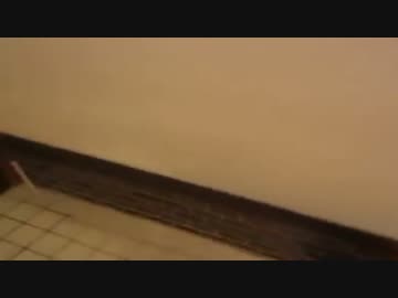 黒幕