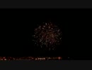 2016.8.27（秋田）大曲の花火　希望の花