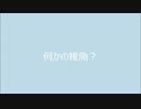 平成２８年８月２９日　何かの稚魚