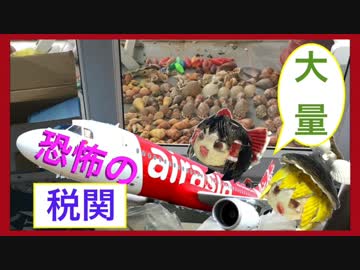 貝殻拾いの旅 in ベトナム！！③＜帰国・完結編＞