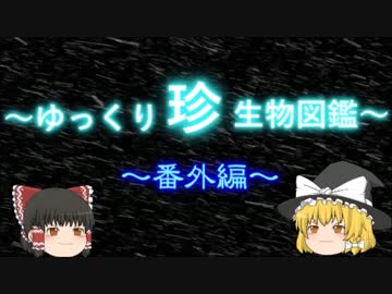 ～ゆっくり　珍　生物図鑑～　番外編6