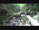 渓流釣りがしたくなって・・・2016年7月編