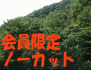 ノーカット版ちょっとだけ旅気分～西沢渓谷編～①
