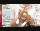 癒しのぬいぐるみ! なでなで猫ちゃん