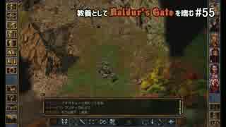 教養としてBaldur's Gateを嗜む #55