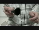 ダミーヘッド視点でブラッシングしてみた