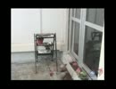 バレーボールで遊ぶHSI姉貴