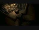 【BIOHAZARD0】ヘタレがレベッカの可愛さだけを糧に頑張る【初見実況】No.14