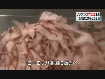 フランスにかつお節工場完成 欧州各国で販売へ