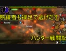 熟練者も裸足で逃げだすハンター戦闘記～煉獄の主、怒れる炎帝～