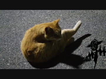 [NNI] スケアクロウ / was