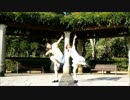 Dive to Blue を 踊ってみた。【まろしろ～】