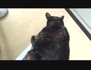 離れませんよぉ～
