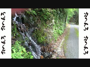 ゆるりおへんろ 歩き旅 19日目（後編）