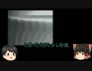 検索してはいけない言葉をゆっくり掘り下げてみた...part14