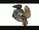 【モンハン２】裸ノーダメージ縛り　第六話【ゲリョス戦】