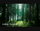 rainy forest 【オリジナル曲】