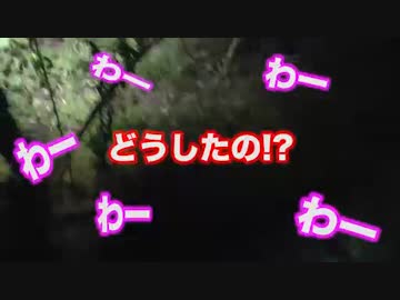 【ちょっと、寄ってく？】愛媛のタレコミ心霊スポットに潜入！　第2話