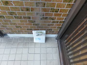 外に集団ストーカーが待機してカラーコーンを置いて行きました.aiueo700