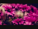 【作業用BGM】#8 Erectronic -CityFlowers