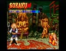 餓狼伝説3 望月双角 エキスパートノーミスクリア
