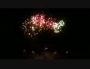 【2016】第34回全国新作花火競技大会【ハイライト】