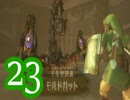 【実況】スカイウォードソードをやる事にした。23【ゼルダの伝説】